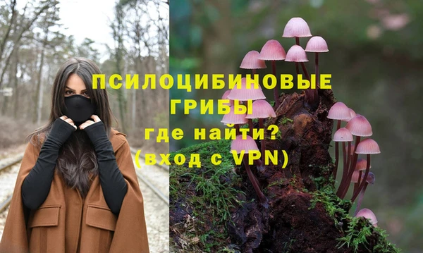 дурь Нязепетровск