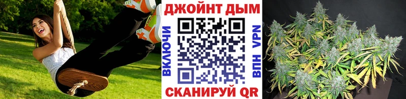 как найти закладки  Порхов  Конопля сатива 